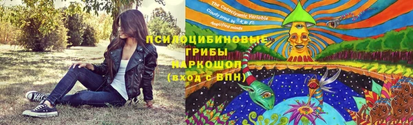 бутират Иннополис