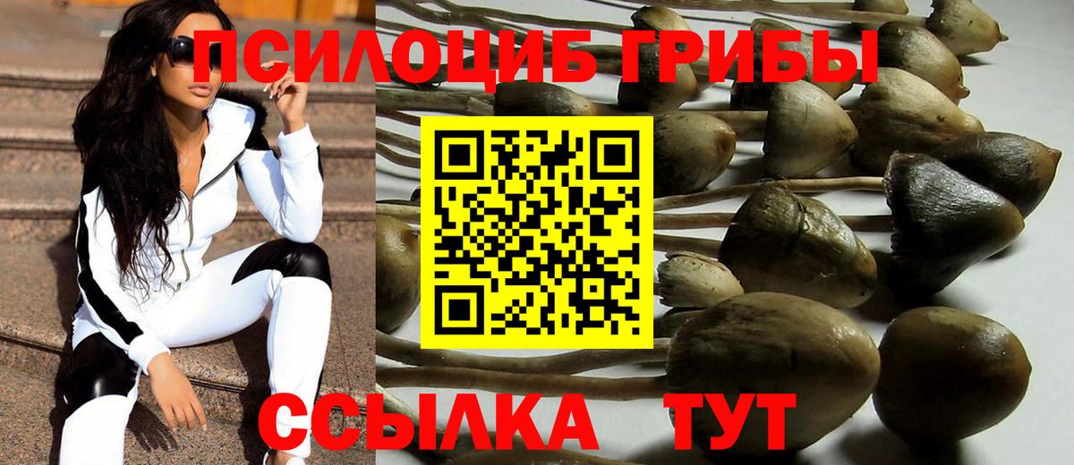 Галлюциногенные грибы мицелий Кинешма