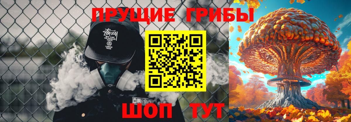 закладки  Кинешма  Галлюциногенные грибы мицелий 